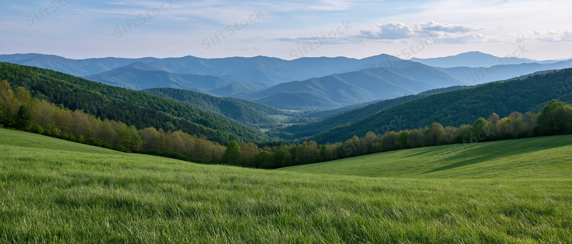 Rolling green meadow leading into forested hills under a blue sky with scattered clouds
