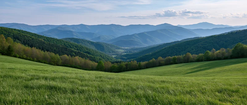 Rolling green meadow leading into forested hills under a blue sky with scattered clouds