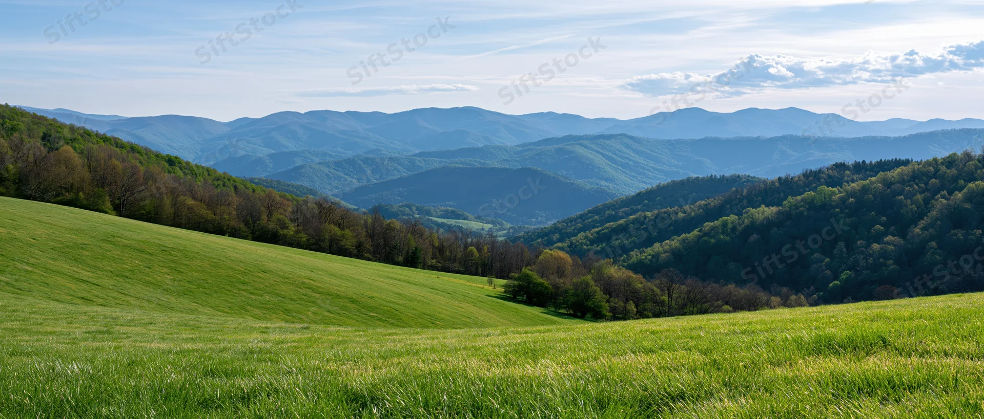 Rolling green meadow leading into forested hills under a blue sky