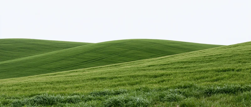 Rolling green wheat fields covering gently undulating hills under a bright sky