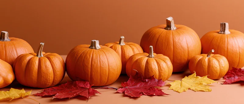 Pumpkins and maple leaves arranged in a row on a warm-toned surface