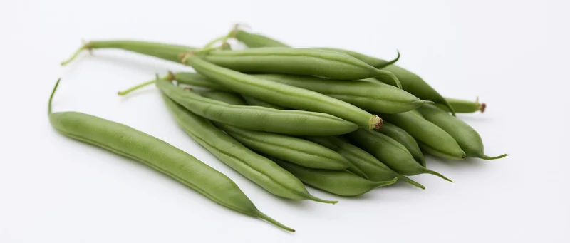 Fresh green beans piled on white surface with one lying flat to the left