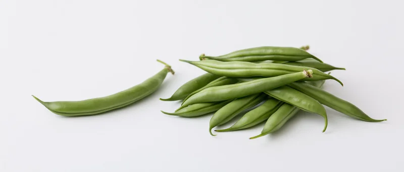 Fresh green beans arranged in small pile with one separate pod on white background