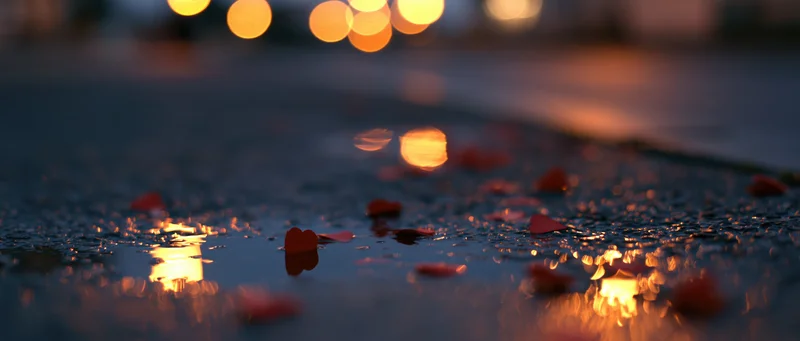 Red paper hearts scattered on wet city pavement reflecting streetlights at dusk