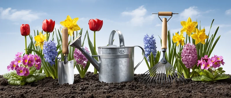 Spring garden border with blooming flowers and gardening tools in soil under blue sky