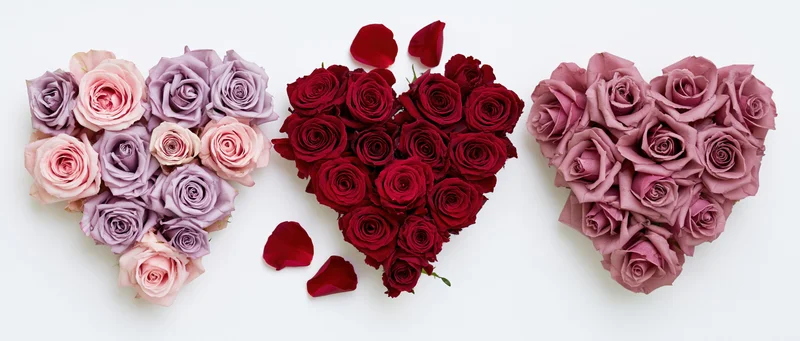 Three heart-shaped rose arrangements in pink, red and purple on white background
