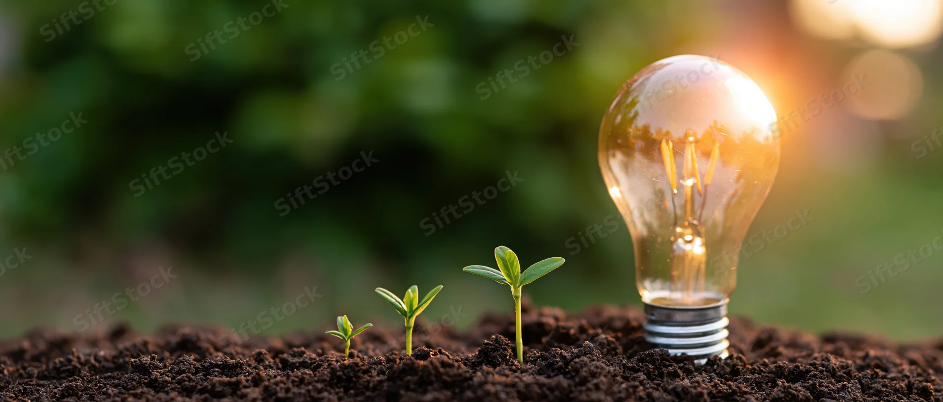 Lightbulb and three seedlings growing in soil with green foliage background