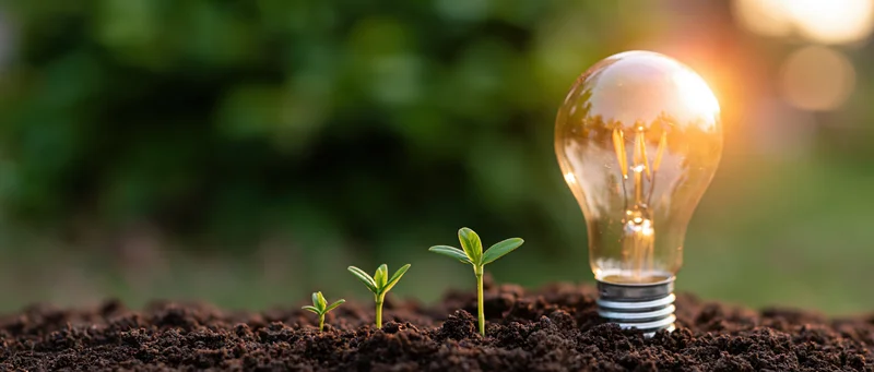 Lightbulb and three seedlings growing in soil with green foliage background