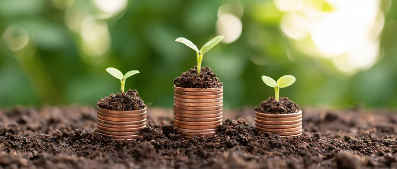 Three stacks of copper coins with seedlings growing from soil in a garden setting