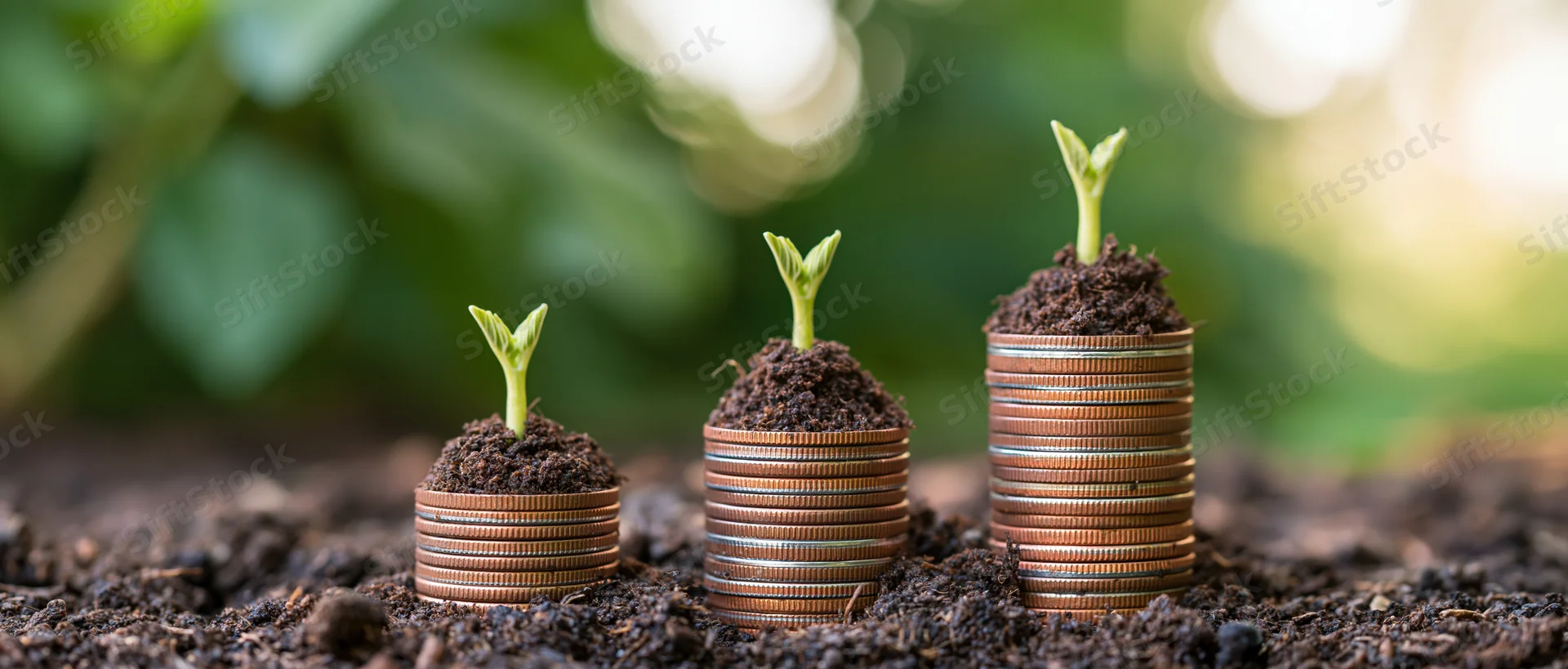 Three stacks of copper coins with soil and sprouting plants arranged in ascending height on garden soil