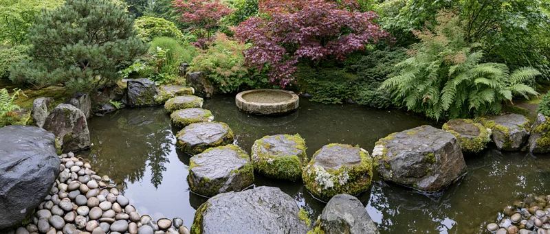 Stepping stones across a shallow pond in a traditional japanese garden surrounded by moss-covered rocks and lush greenery