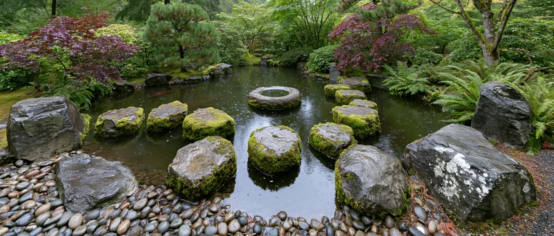 Traditional japanese garden with moss-covered stepping stones across a shallow koi pond surrounded by trees and ferns