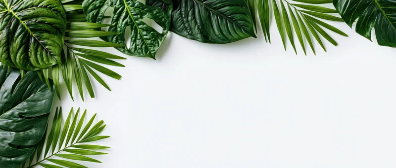 Tropical leaves arranged along the left edge on a white background with copyspace