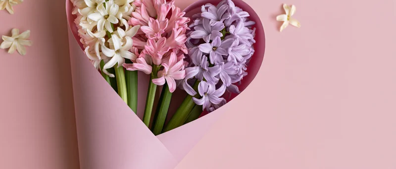 Heart-shaped bouquet of white, pink and lavender hyacinths wrapped in pink paper on a pastel pink surface