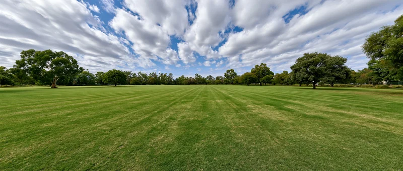 Wide open mown grass field in a public park under a cloudy blue sky with trees lining the horizon