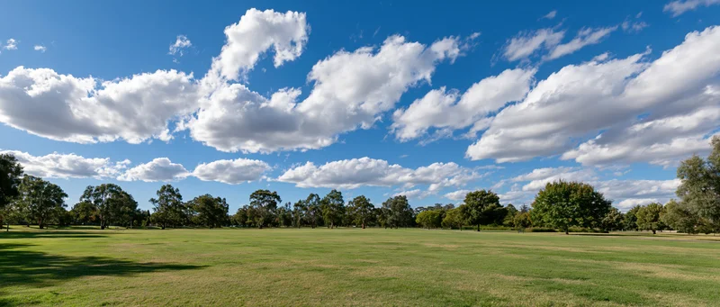Wide open park with mown grass stretching to a tree line under a blue sky with white clouds