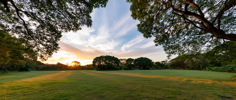 Wide panoramic view of a manicured urban park at sunset with golden light over green lawn and trees