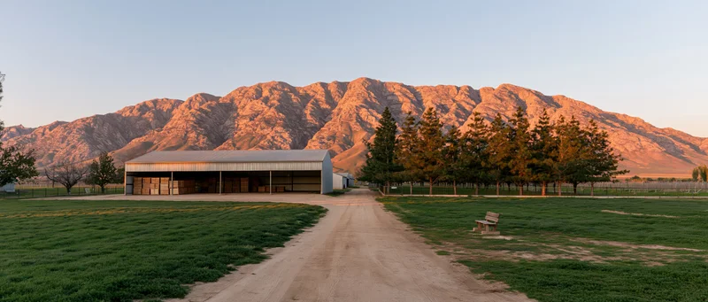 Wide panoramic view of a rural farm with a dirt road leading to a barn at golden hour