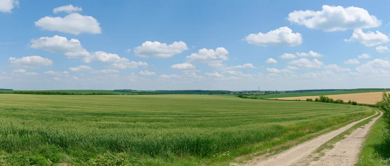 Wide panoramic view of rolling green agricultural fields under a blue sky with scattered clouds, with a dirt path winding through the countryside