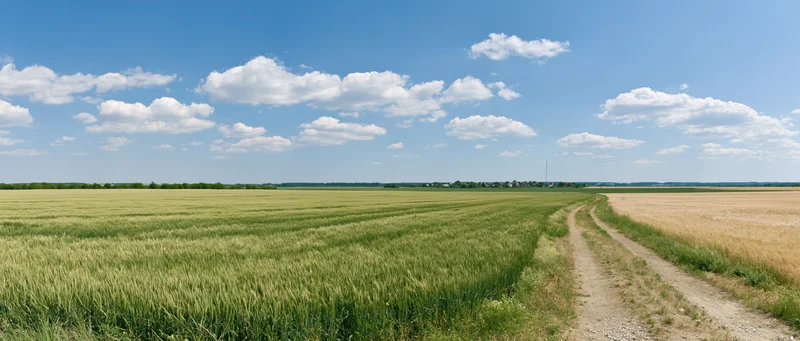 Wide panoramic view of rolling agricultural fields with a dirt path under a blue sky with scattered clouds