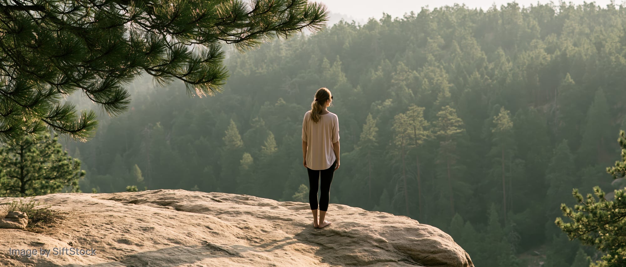 Woman standing on a large flat rock overlooking a dense pine forest