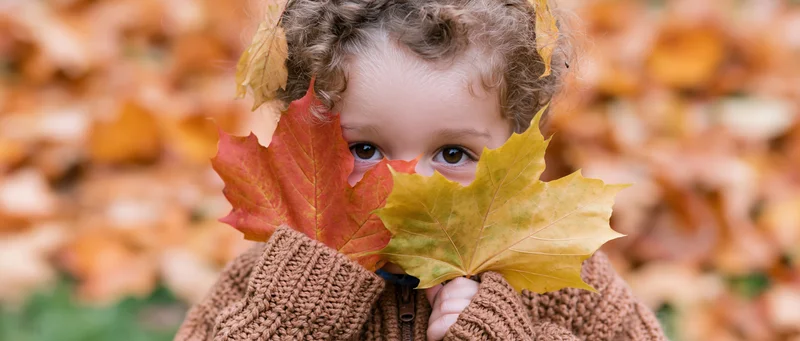 Toddler peeking through maple leaves in autumn park