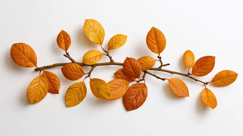 Dried autumn branch with orange and yellow leaves arranged horizontally on white background