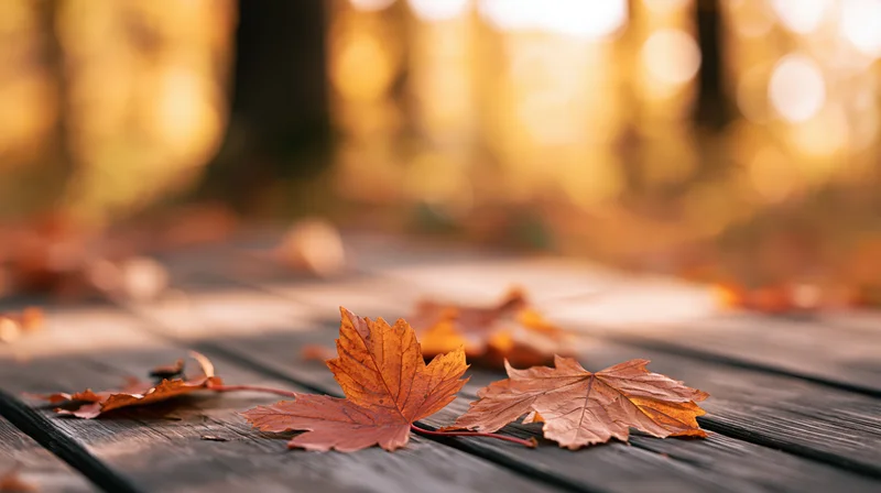Maple leaves scattered on a weathered wooden deck in a sunlit forest during autumn