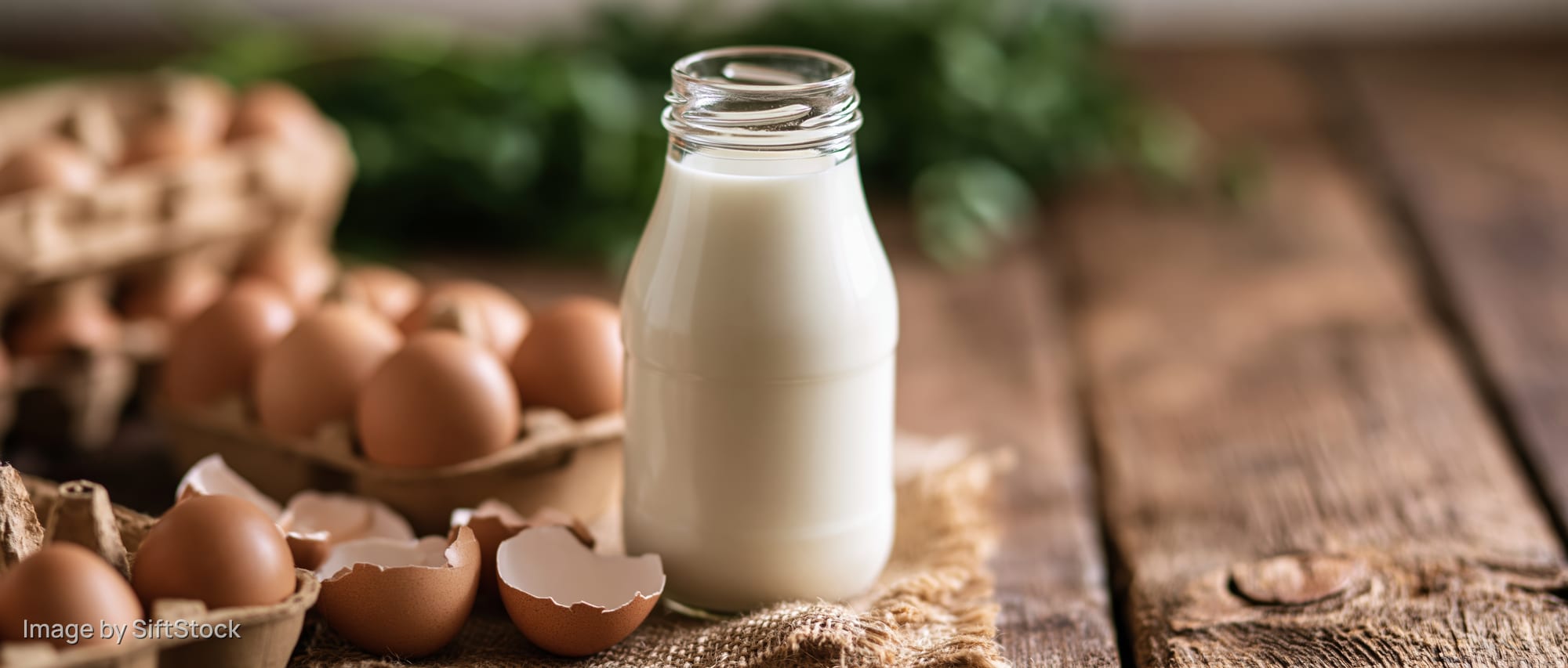 Glass milk bottle filled with fresh milk on wooden table beside eggs and eggshells