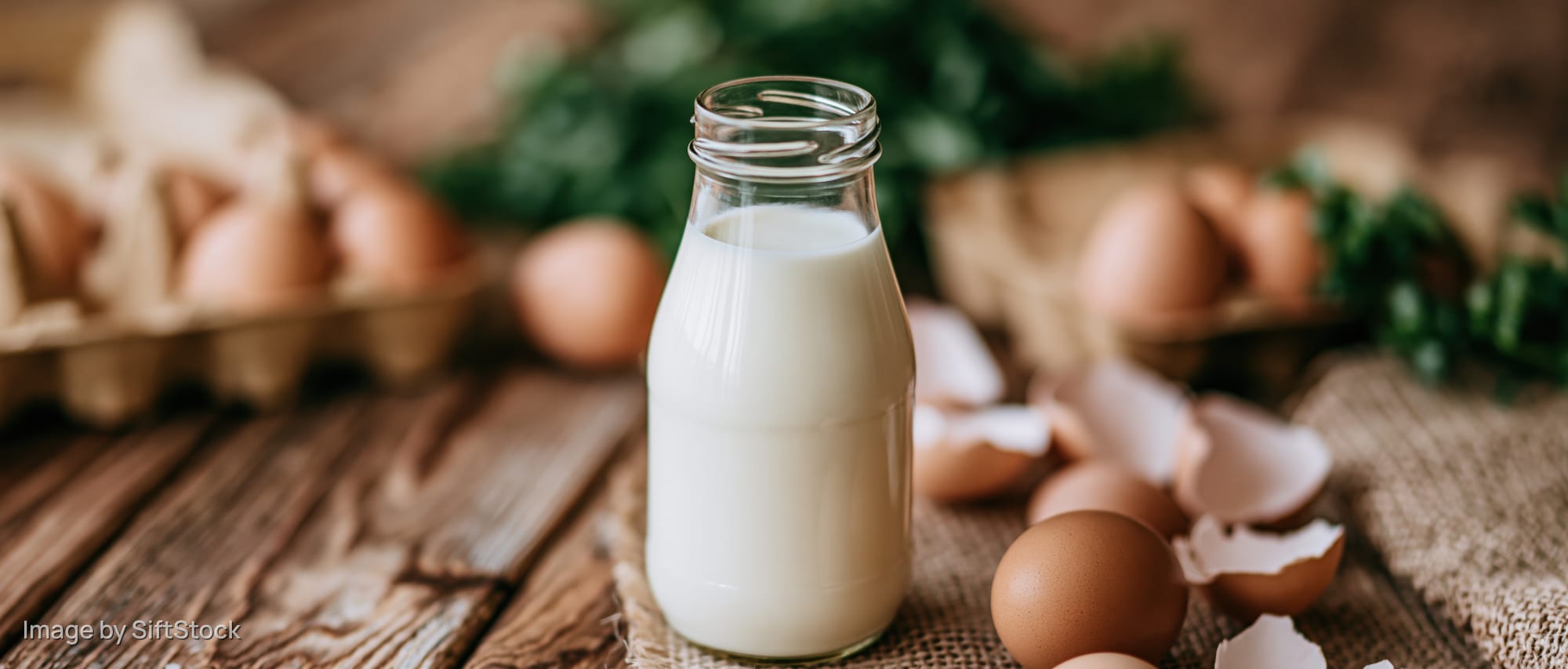 Glass milk bottle filled with fresh white milk centered on wooden table surrounded by brown eggs and shells