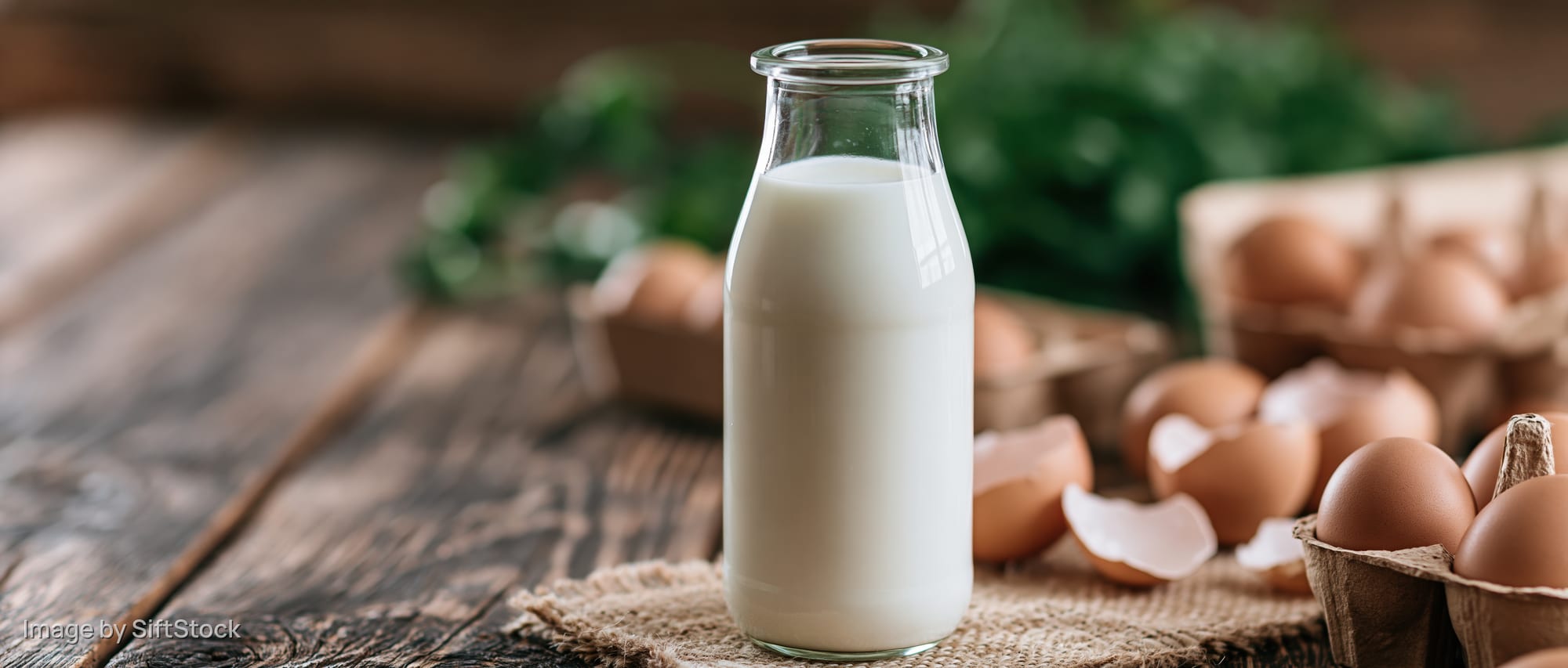 Glass bottle of fresh milk on wooden table surrounded by eggs and eggshells