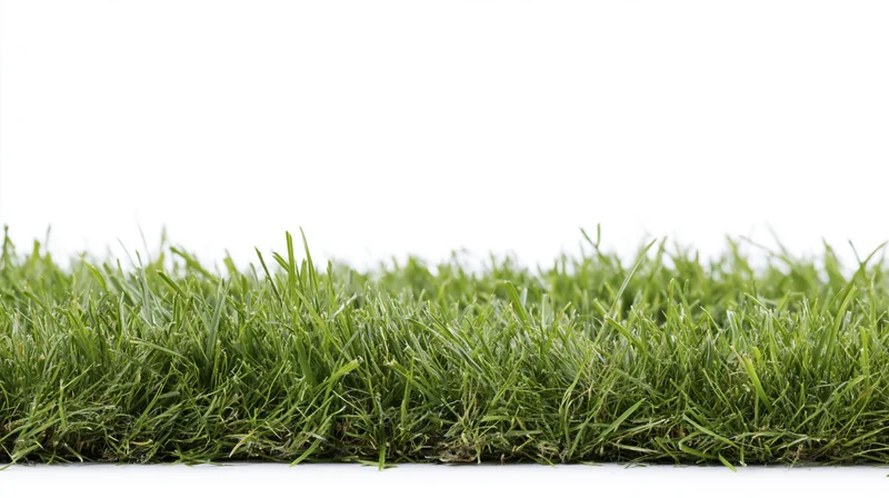 Horizontal strip of fresh green grass at bottom of frame against white background