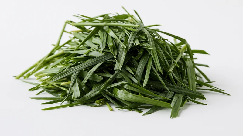 A pile of freshly cut green grass blades heaped on a white surface
