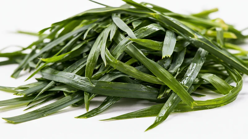Freshly cut green grass blades piled on a white background