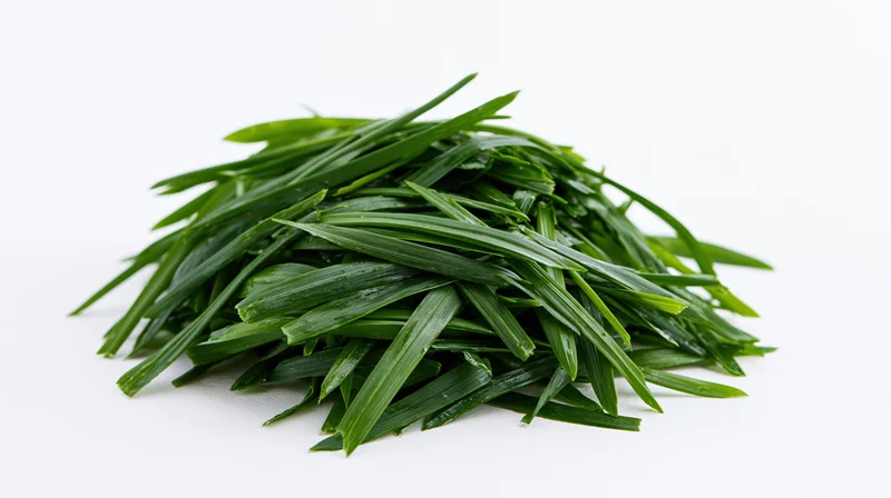 A pile of freshly cut green grass blades on a white background