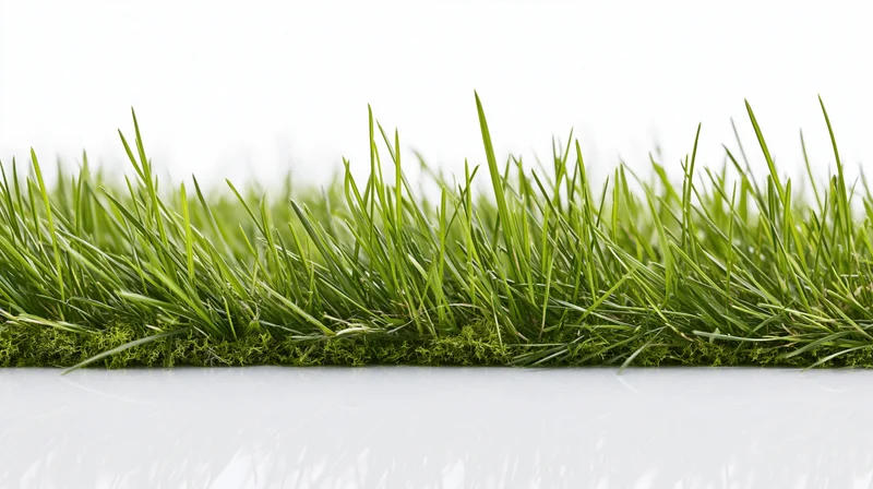 A dense row of fresh green grass blades growing along a white surface