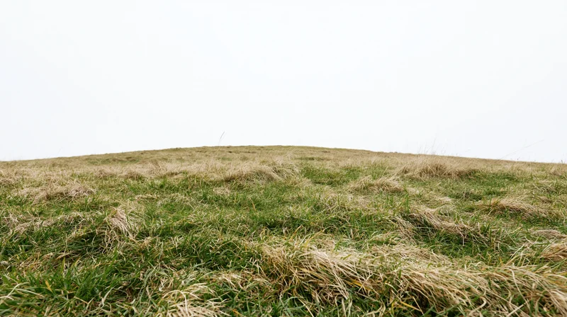 Low wide-angle ground-level view of a grassy hill under an overcast sky