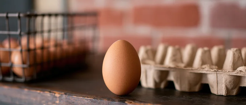Single brown chicken egg standing upright on dark wooden surface with carton and wire basket in background
