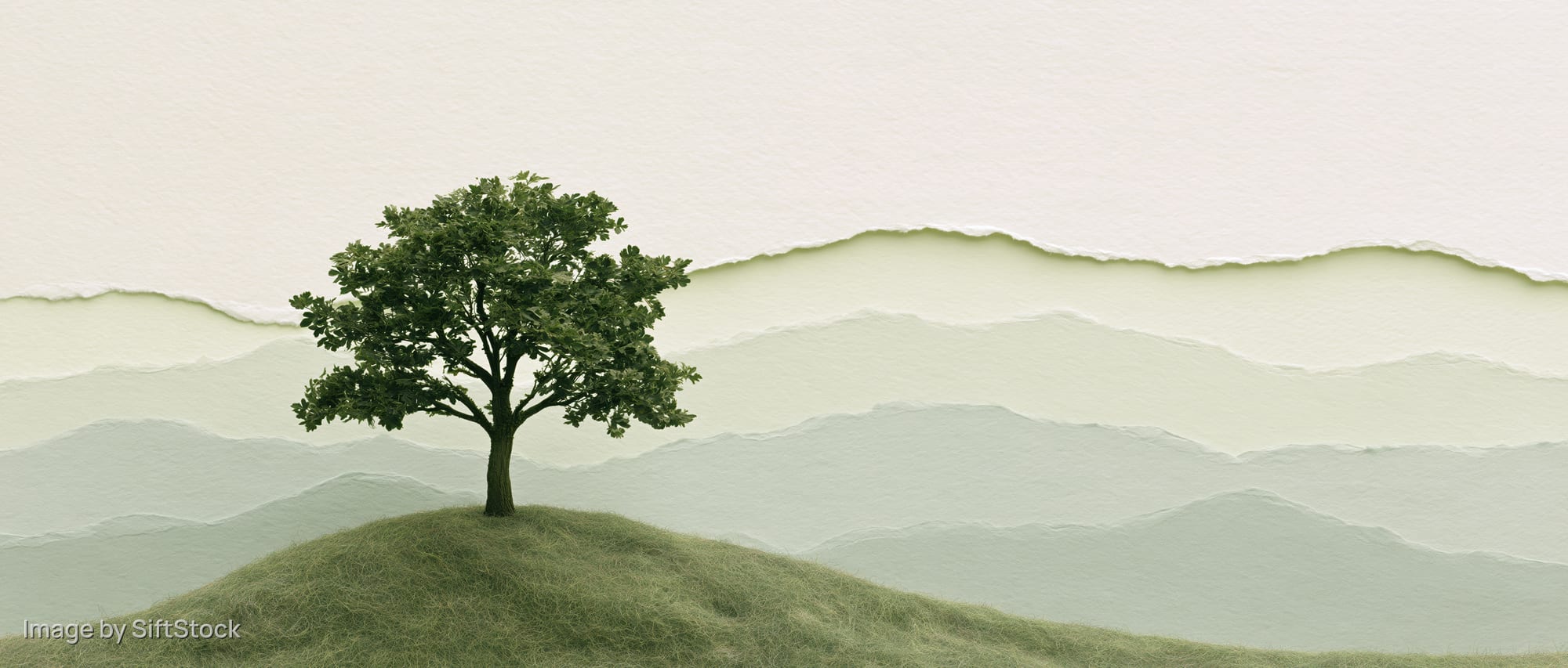 A single tree stands on a grassy hill with layered misty mountains in the background