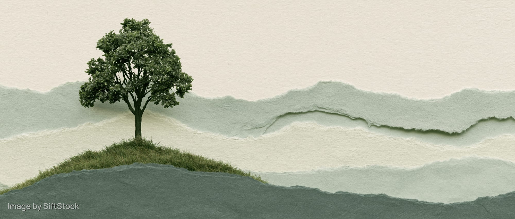 A single deciduous tree standing on a small grass-covered hill against a layered paper-textured background
