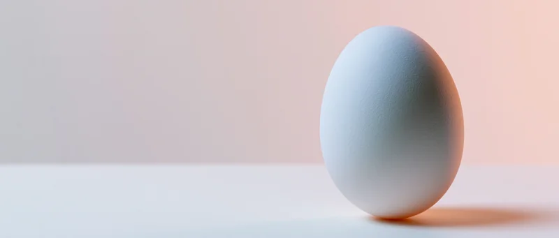 Single white chicken egg standing upright on a clean white surface