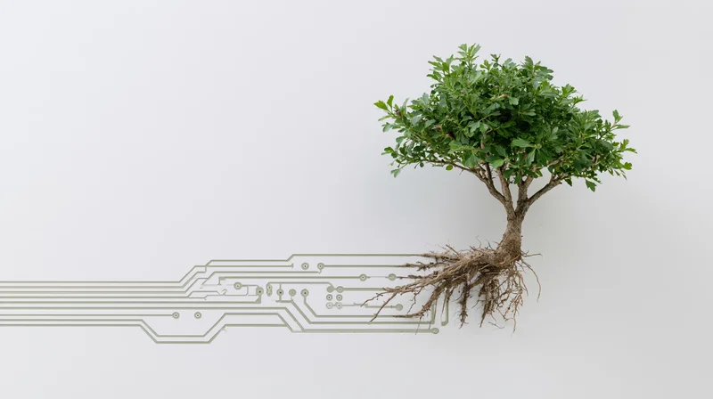 Small green tree with exposed roots connected to circuit board pattern on white background