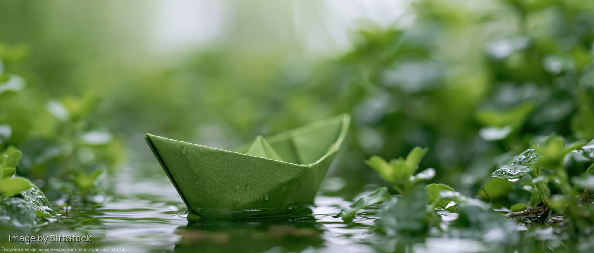 Green paper boat floating on calm shallow water surrounded by lush green foliage