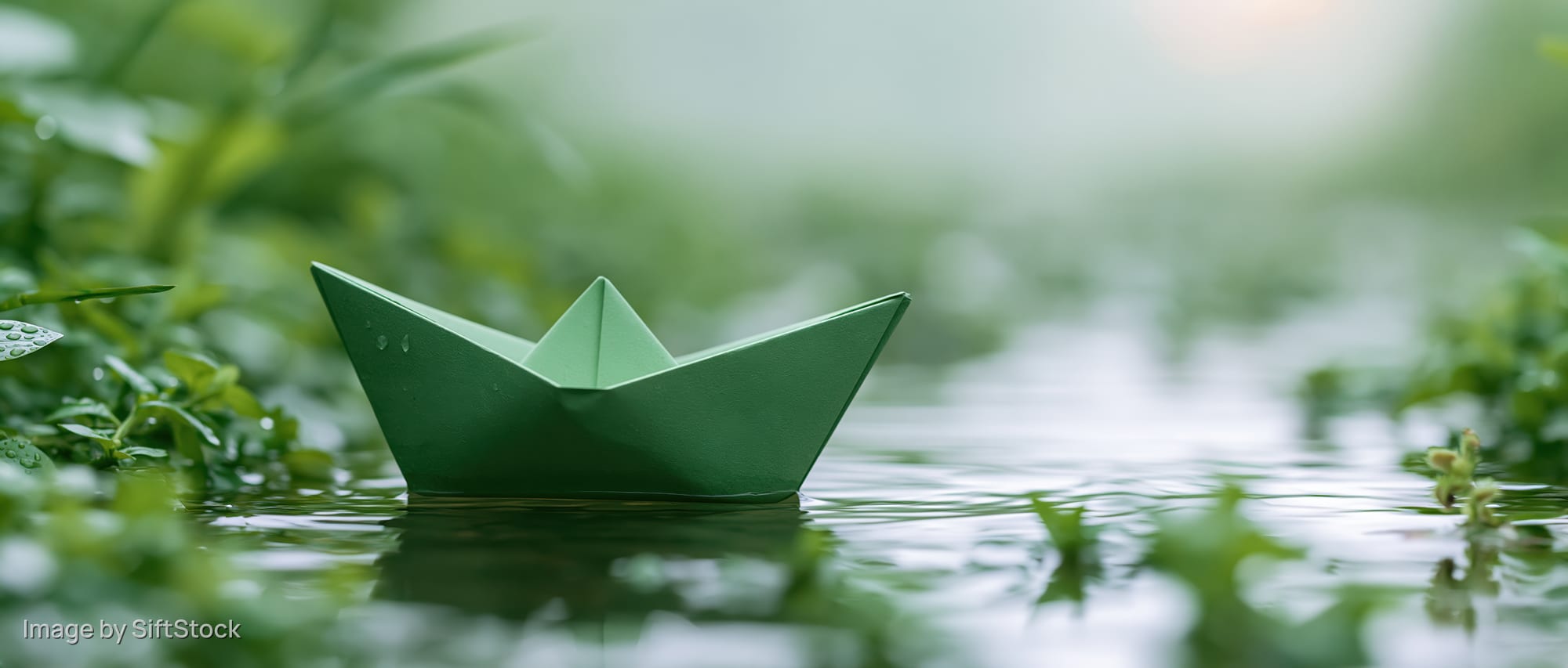 Green paper boat floating on calm shallow water surrounded by green foliage