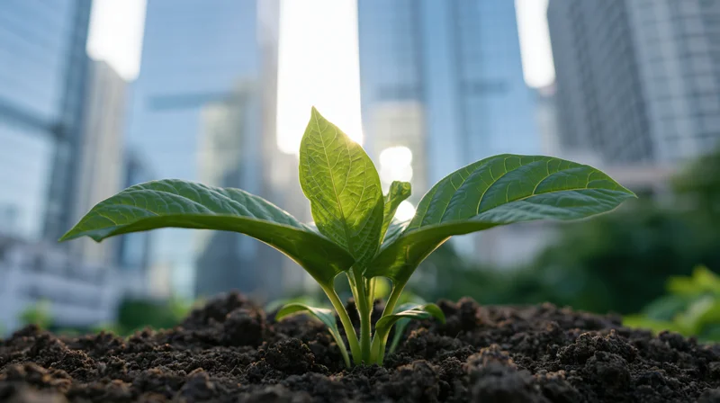 Small green seedling growing in dark soil with city skyscrapers in the background