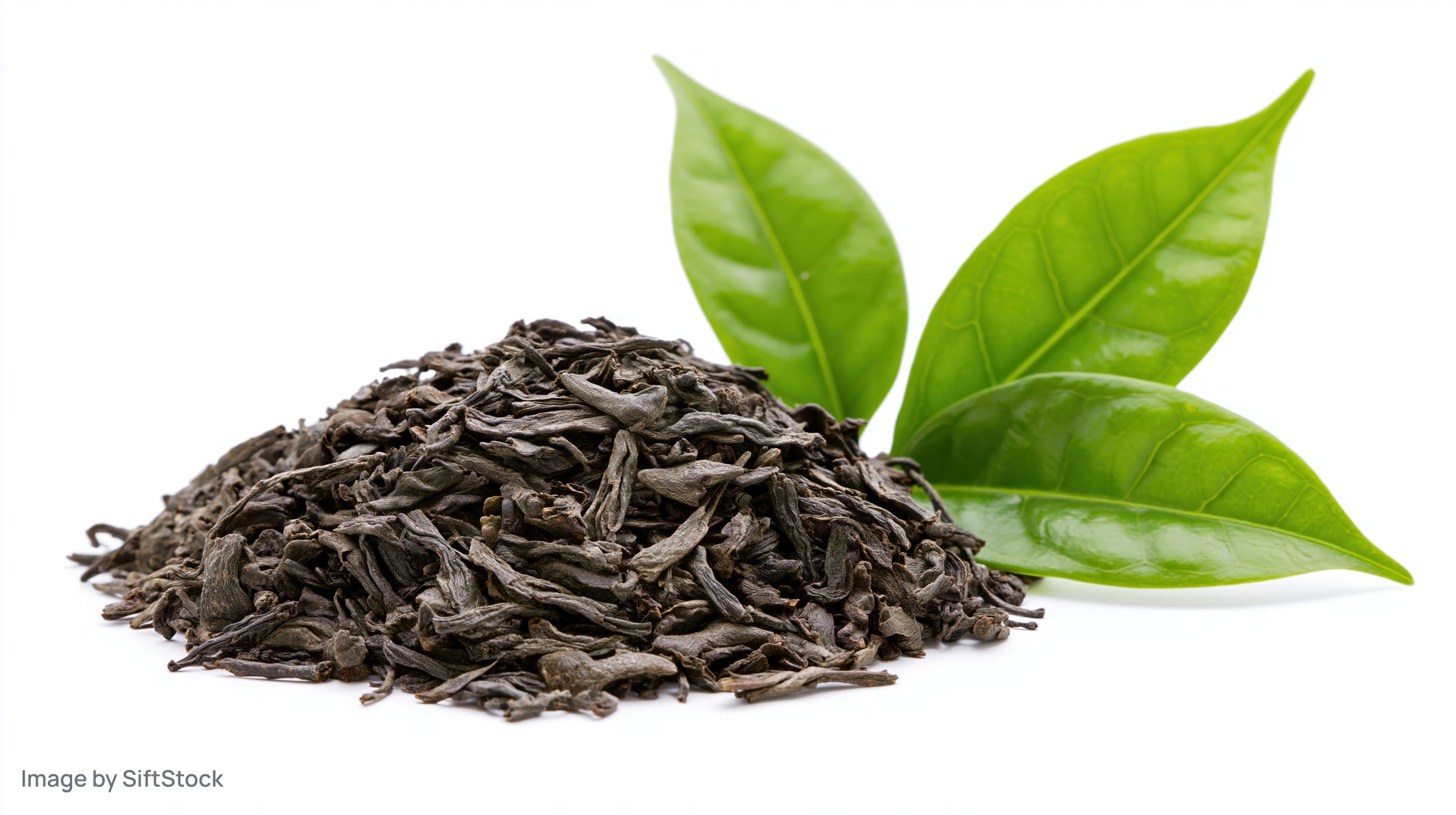 Pile of dried black tea leaves with fresh green tea leaves on white background