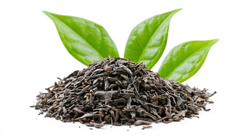 Pile of dried black tea leaves with fresh green leaves on white background