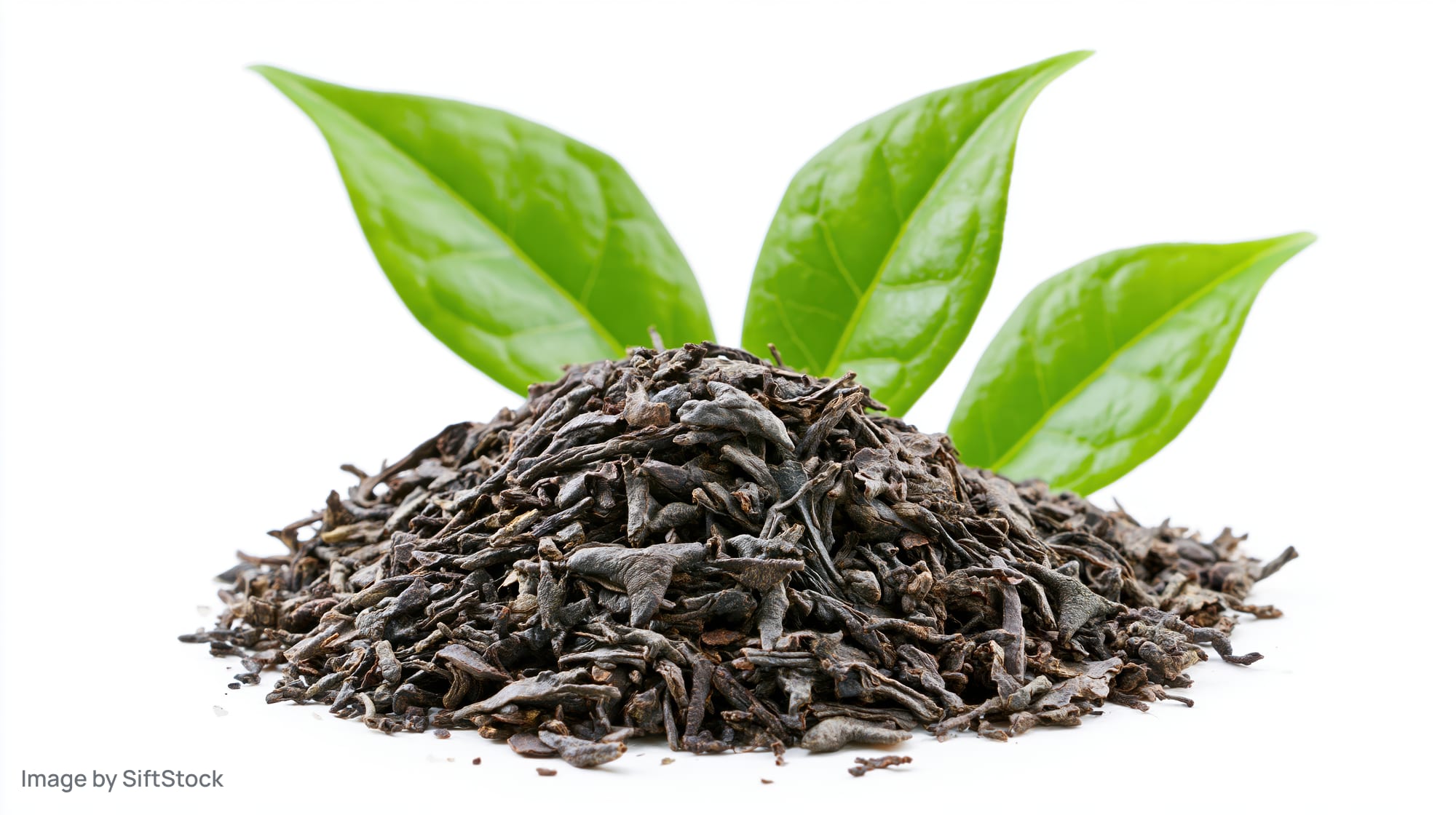 Pile of dried black tea leaves with fresh green leaves on white background