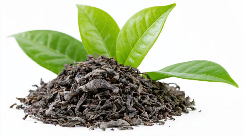 Pile of dried black tea leaves with fresh green tea leaves on white background