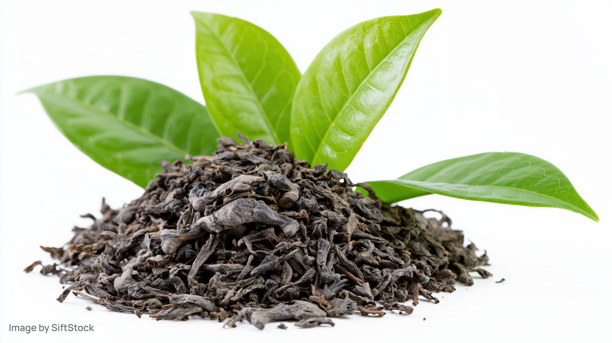 Pile of dried black tea leaves with fresh green tea leaves on white background